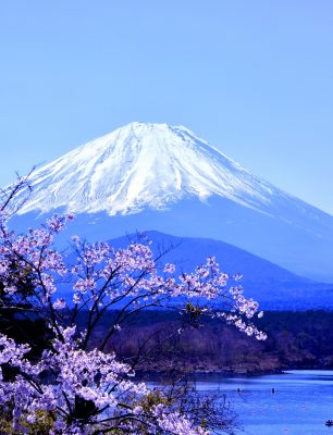 Japantravelandtourism.com